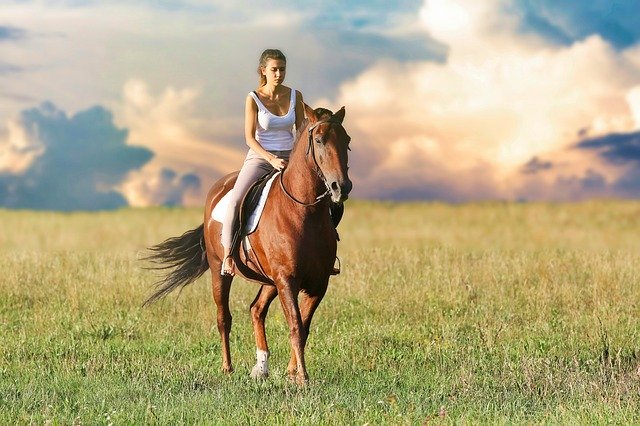 Pferd und Frau