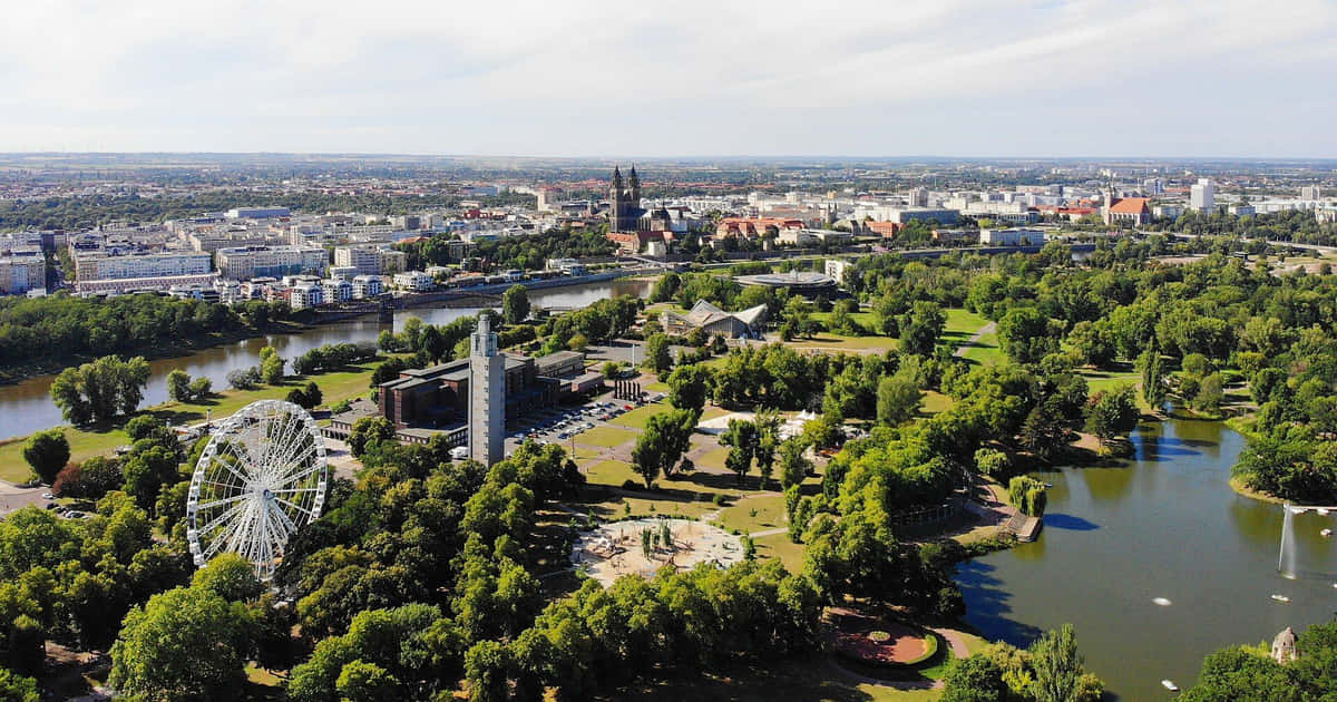 Die kulturelle Vielfalt Sachsen-Anhalts entdecken