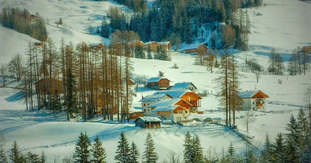 Wintertourismus-Erlebnisse in Sachsen-Anhalt